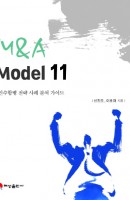 M & A Model 11