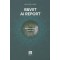 B&VIIT AI REPORT
